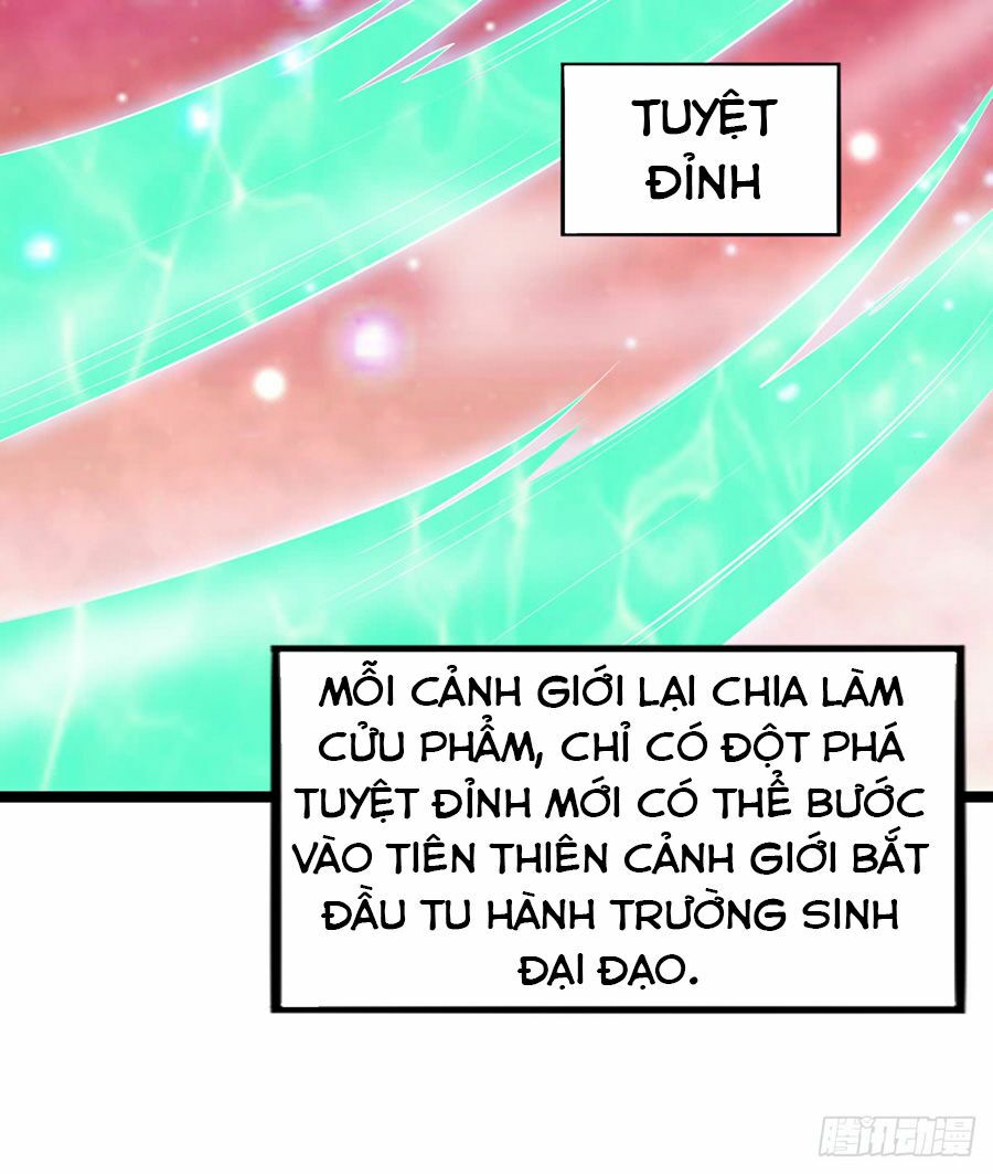 Bổn Tế Tu Chính Là Tiện Đạo Chapter 4 - Trang 17