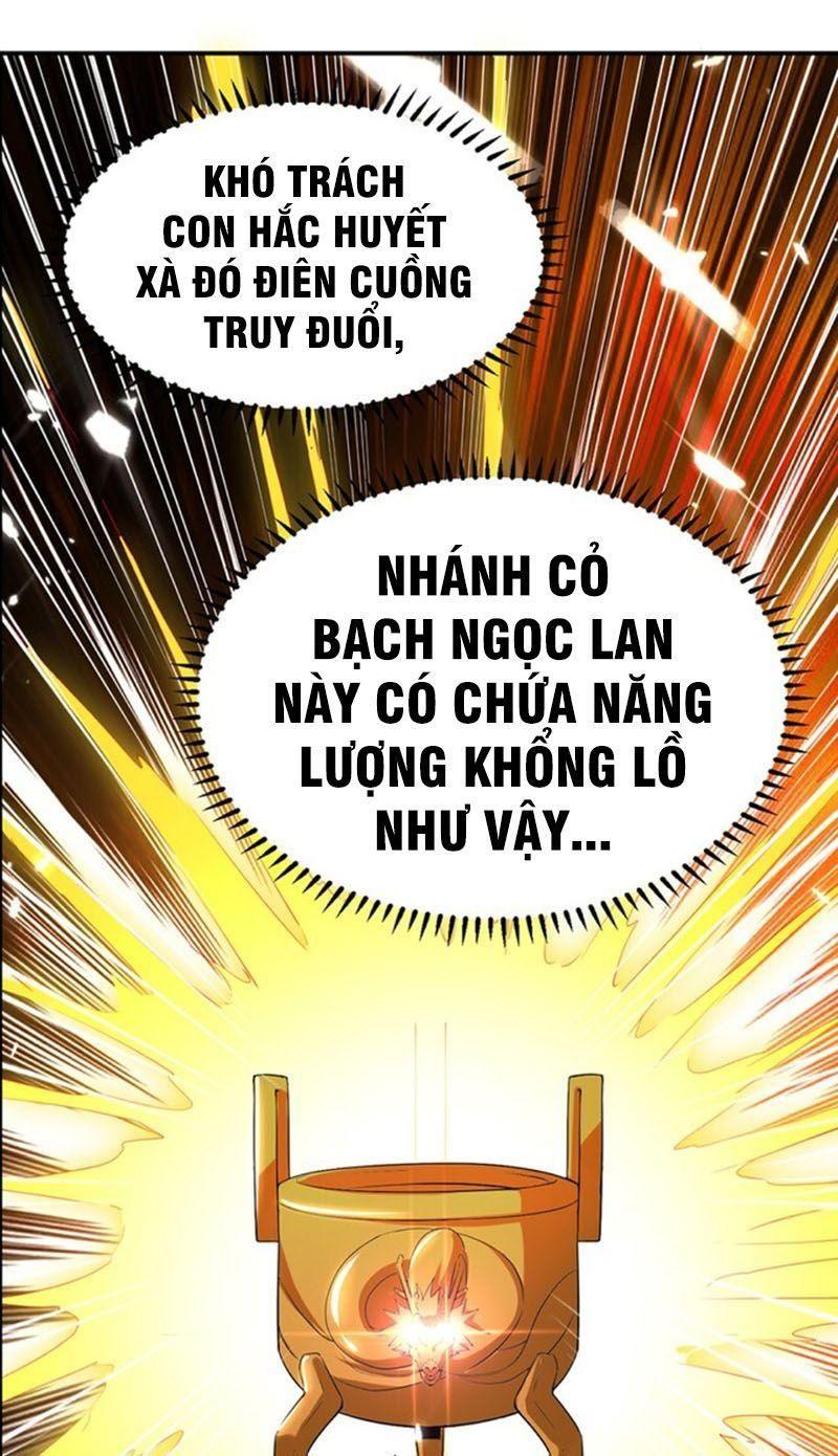 Tuyệt Thế Võ Hồn Chapter 10 - Trang 1