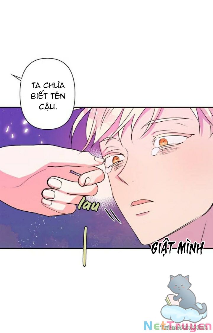 Tôi Đang Nuôi Dưỡng Một Con Quái Thú Chapter 41 - Trang 66