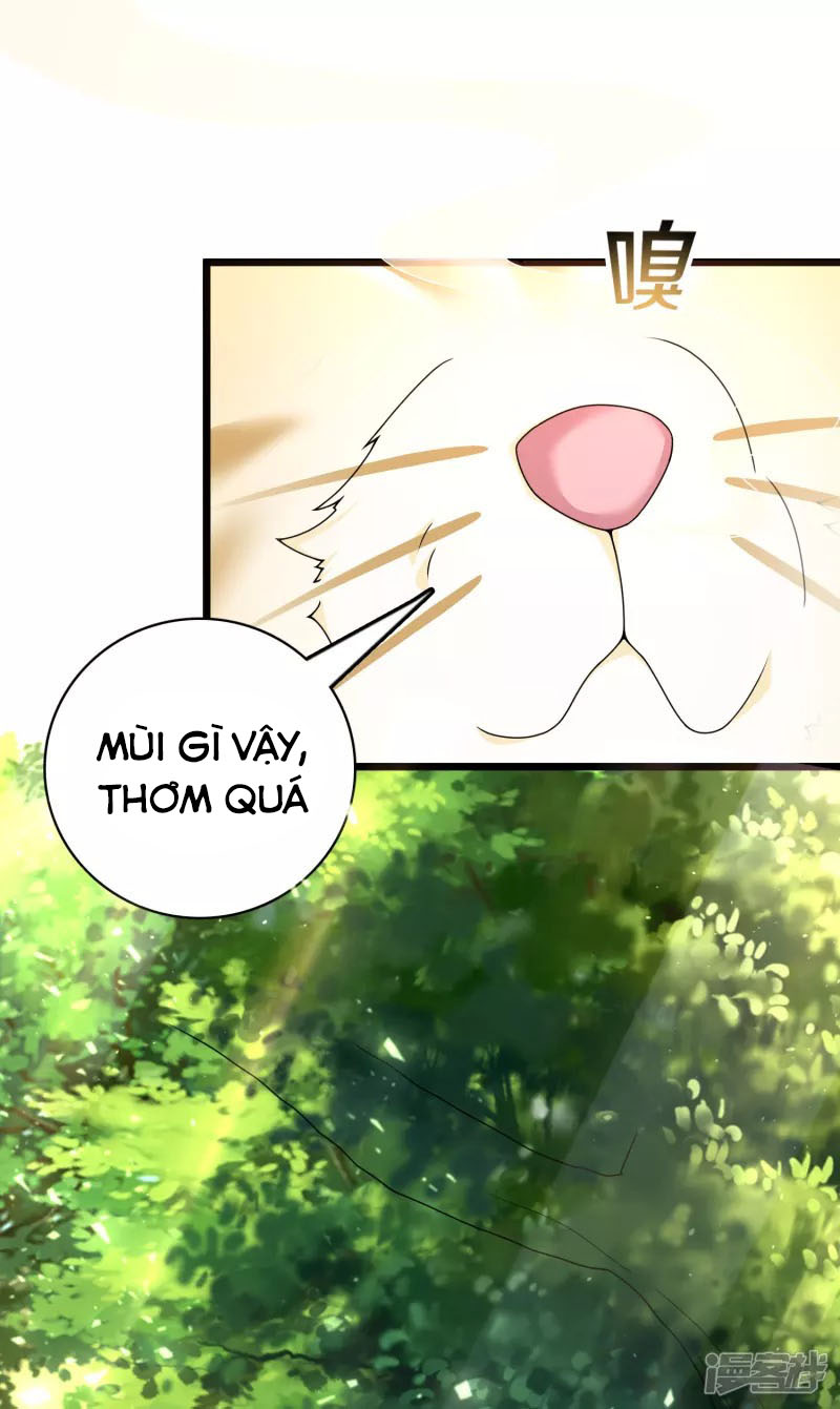 Khoa Kỹ Đại Tiên Tông Chapter 19 - Trang 5