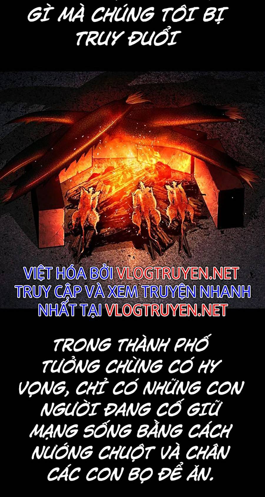 Thảm Họa Ong Độc Chapter 287 - Trang 3