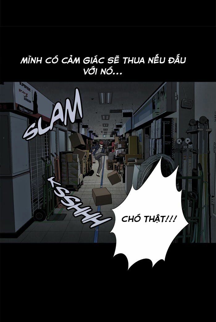 Thảm Họa Ong Độc Chapter 64 - Trang 45