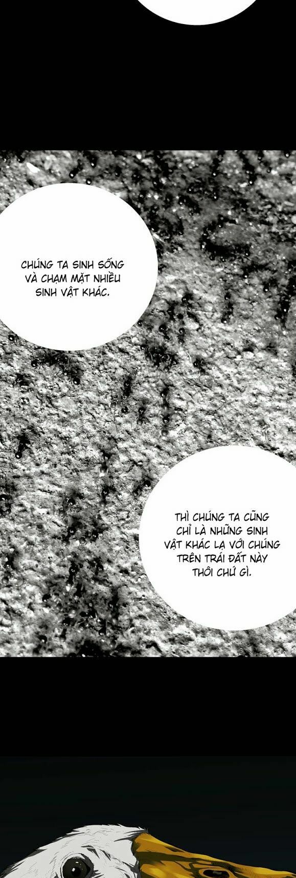 Thảm Họa Ong Độc Chapter 33 - Trang 26