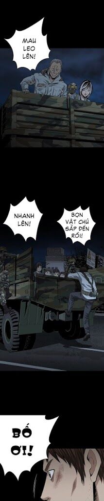 Thảm Họa Ong Độc Chapter 14 - Trang 22