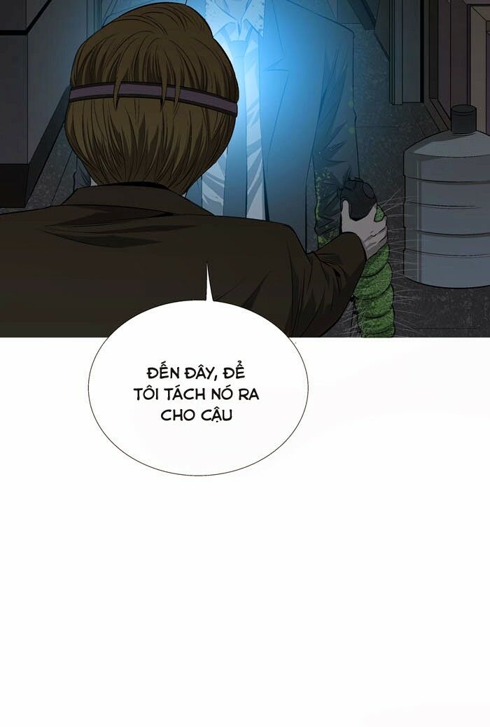 Thảm Họa Ong Độc Chapter 4 - Trang 22