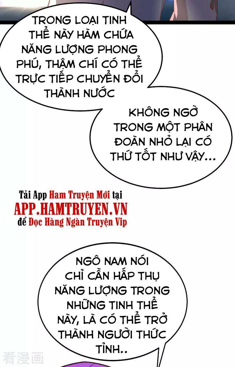 Quân Đoàn Nữ Tử Ngày Tận Thế Của Tôi Chapter 51 - Trang 11