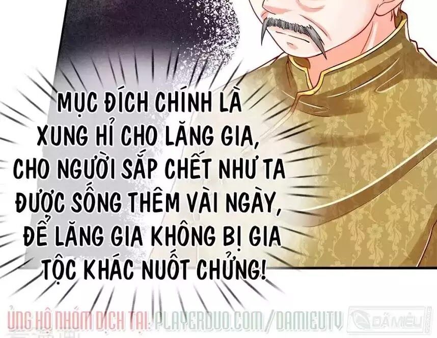 Vú Em Tiên Tôn Đi Ở Rể Chapter 5 - Trang 12