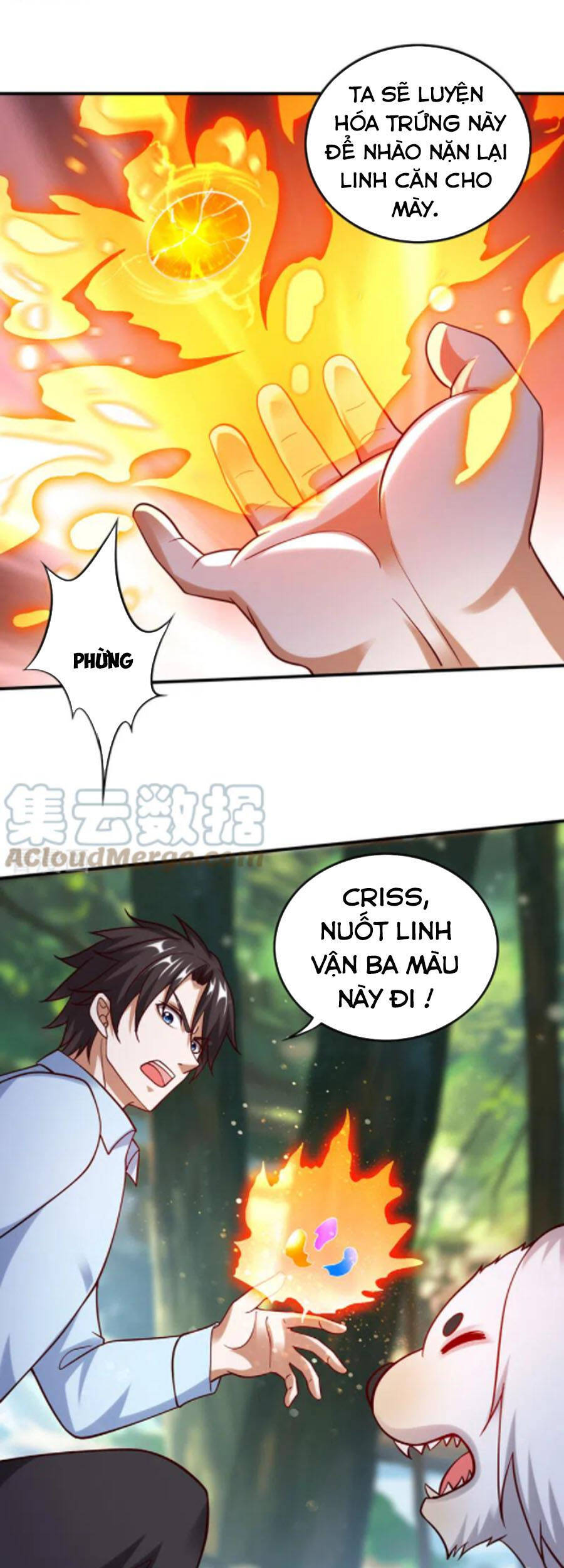 Tối Cường Thần Y Tại Đô Thị Chapter 246 - Trang 17