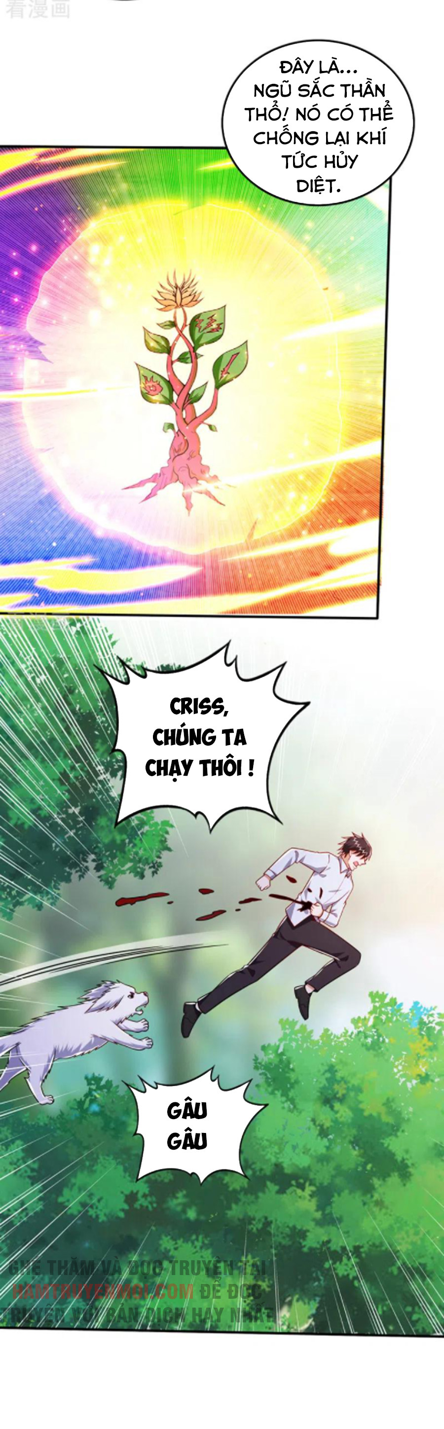 Tối Cường Thần Y Tại Đô Thị Chapter 249 - Trang 3