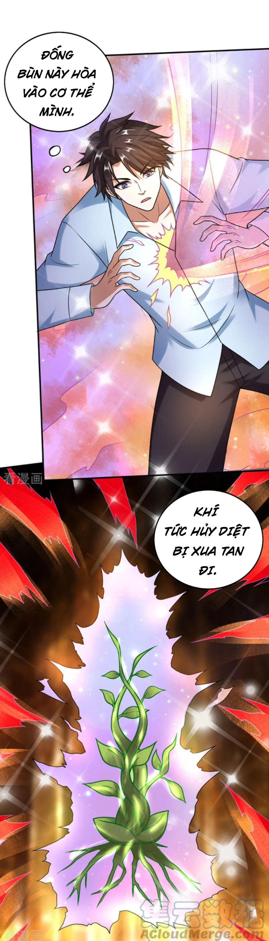 Tối Cường Thần Y Tại Đô Thị Chapter 240 - Trang 1