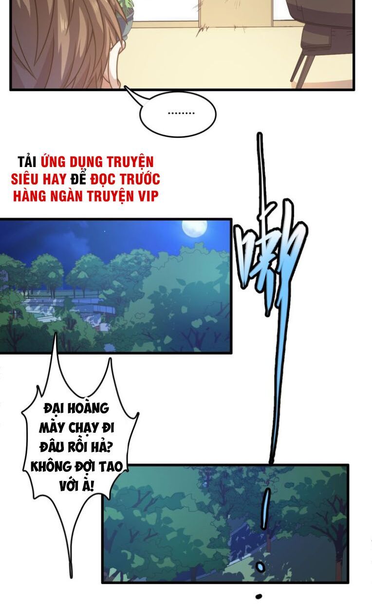 Trọng Sinh Tiểu Y Tiên Chapter 15 - Trang 11