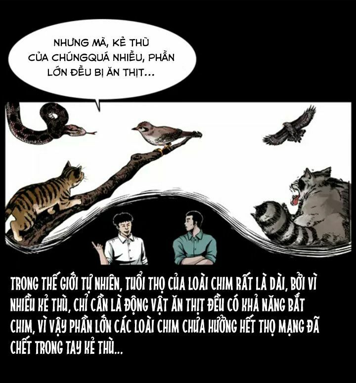 U Minh Ngụy Tượng Chapter 38 - Trang 7