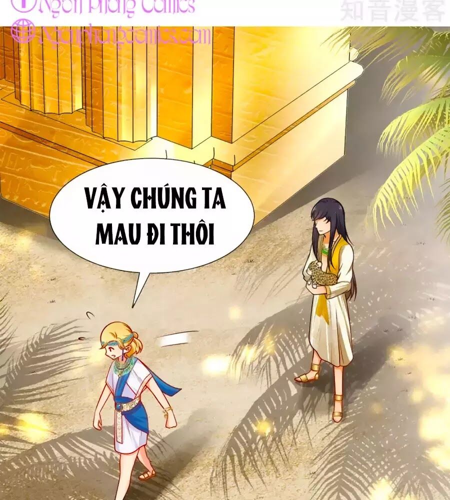 Sủng Hậu Của Vương Chapter 4 - Trang 24