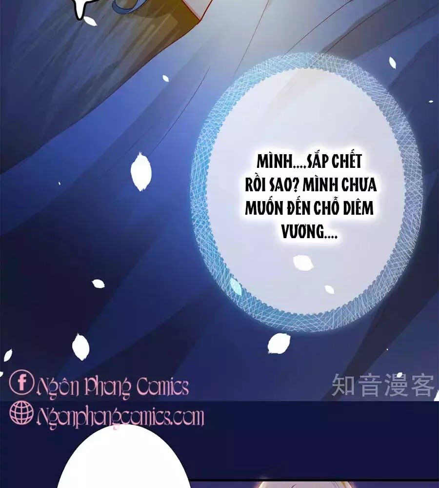 Sủng Hậu Của Vương Chapter 12 - Trang 27