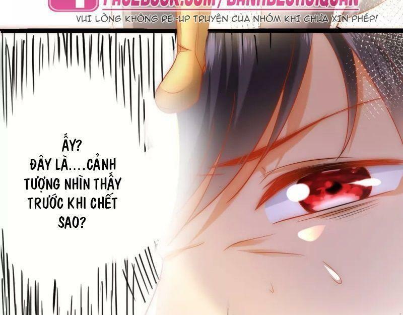 Sủng Hậu Của Vương Chapter 59 - Trang 3