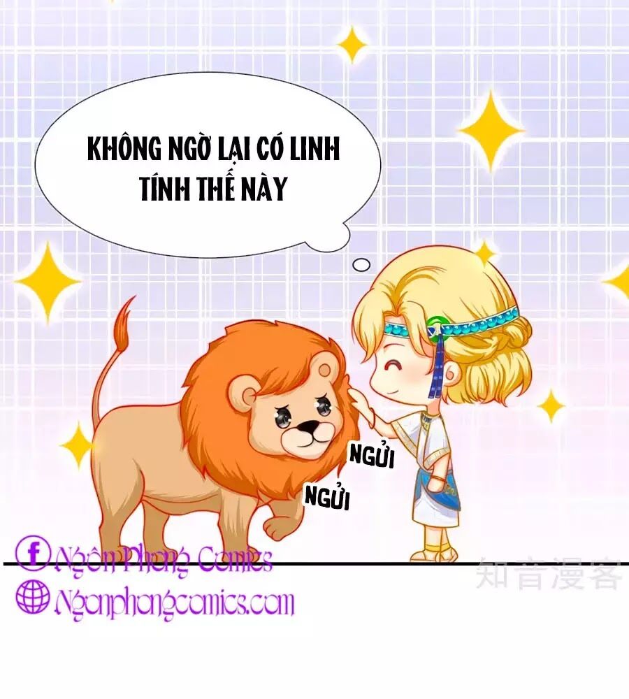 Sủng Hậu Của Vương Chapter 1 - Trang 33