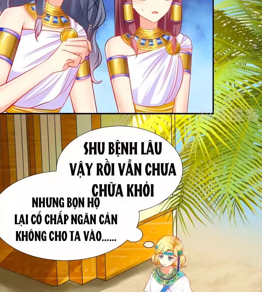 Sủng Hậu Của Vương Chapter 4 - Trang 4