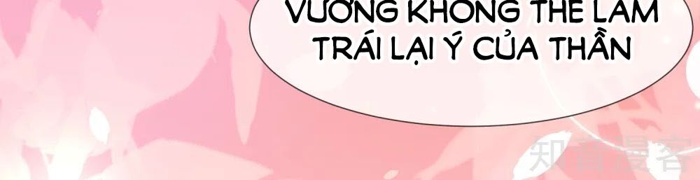 Sủng Hậu Của Vương Chapter 41 - Trang 1