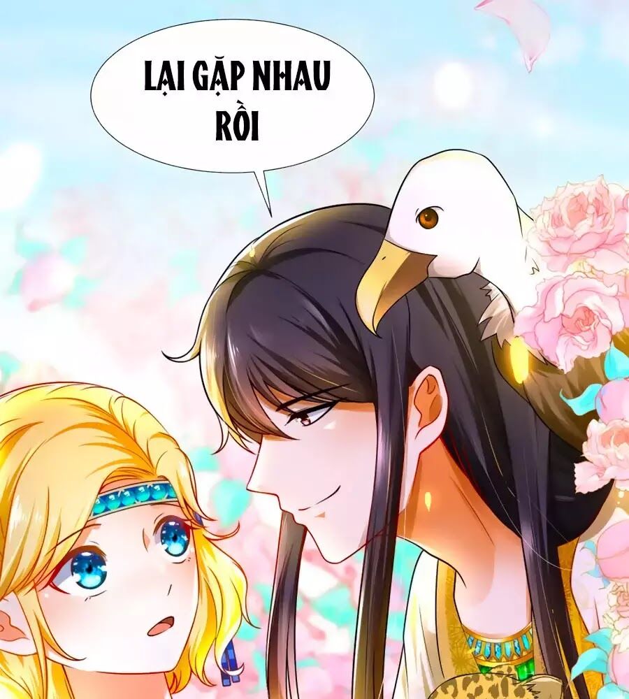 Sủng Hậu Của Vương Chapter 4 - Trang 9