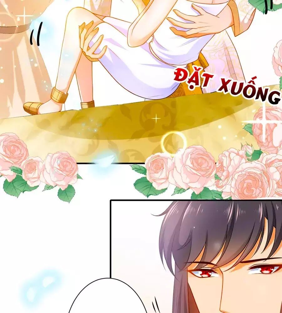 Sủng Hậu Của Vương Chapter 8 - Trang 1