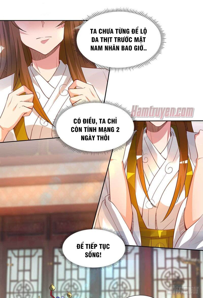 Ta Có Chín Nữ Đồ Đệ Chapter 15 - Trang 4