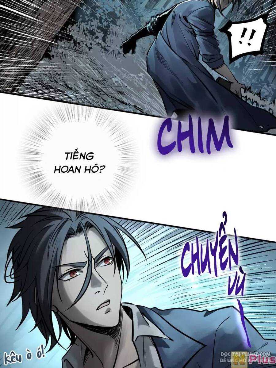 Xuyên Không Thành Chim Chapter 118 - Trang 10