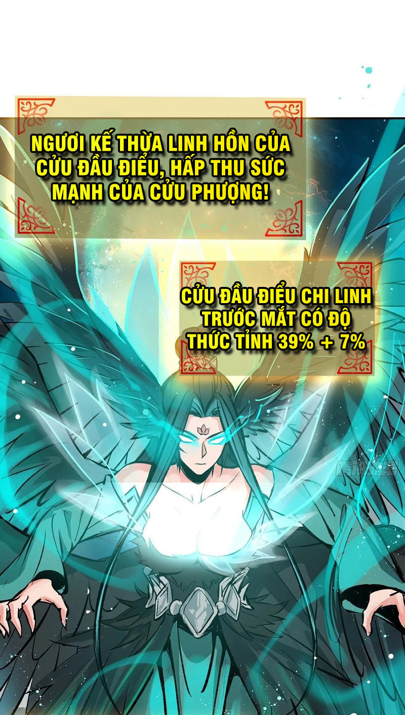 Bắt Đầu Từ Cửu Đầu Điểu Chapter 96 - Trang 24