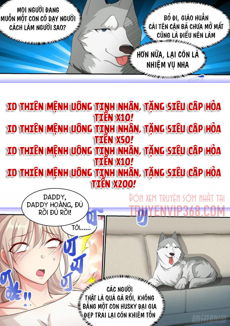 Trọng Sinh Thành Chó Của Nữ Thần Chapter 8 - Trang 19