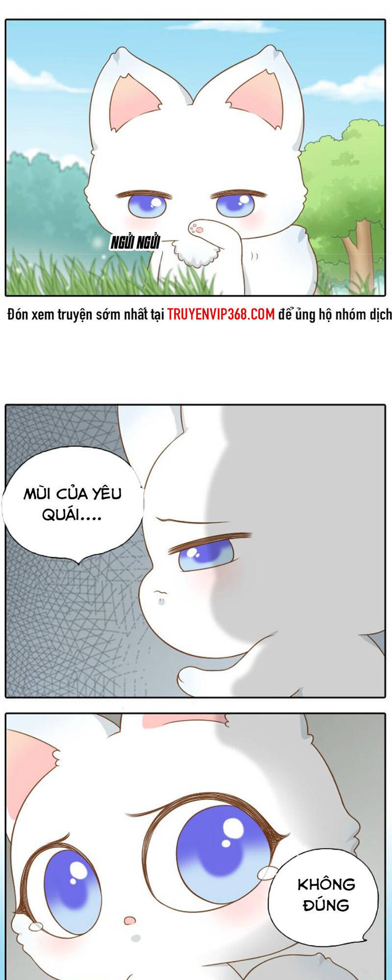 Tiểu Hoà Thượng - Chào Mừng Đến Trấn Yêu Quái Chapter 43 - Trang 10