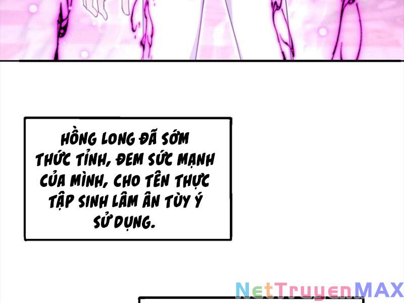 Hồng Long Dũng Giả Không Phải Người Lương Thiện Chapter 15 - Trang 199