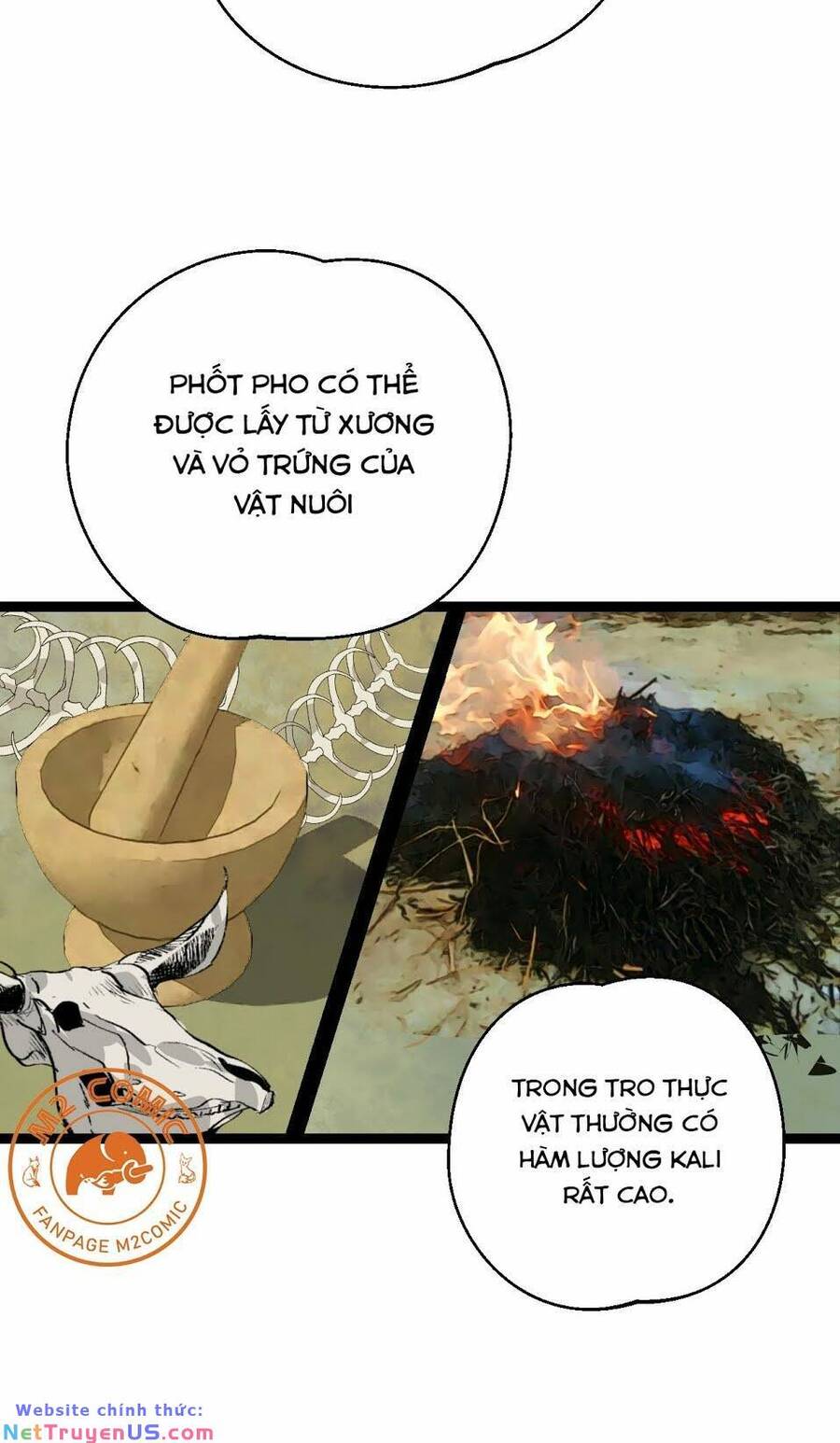 Đế Quốc Lê Man Chapter 25 - Trang 9