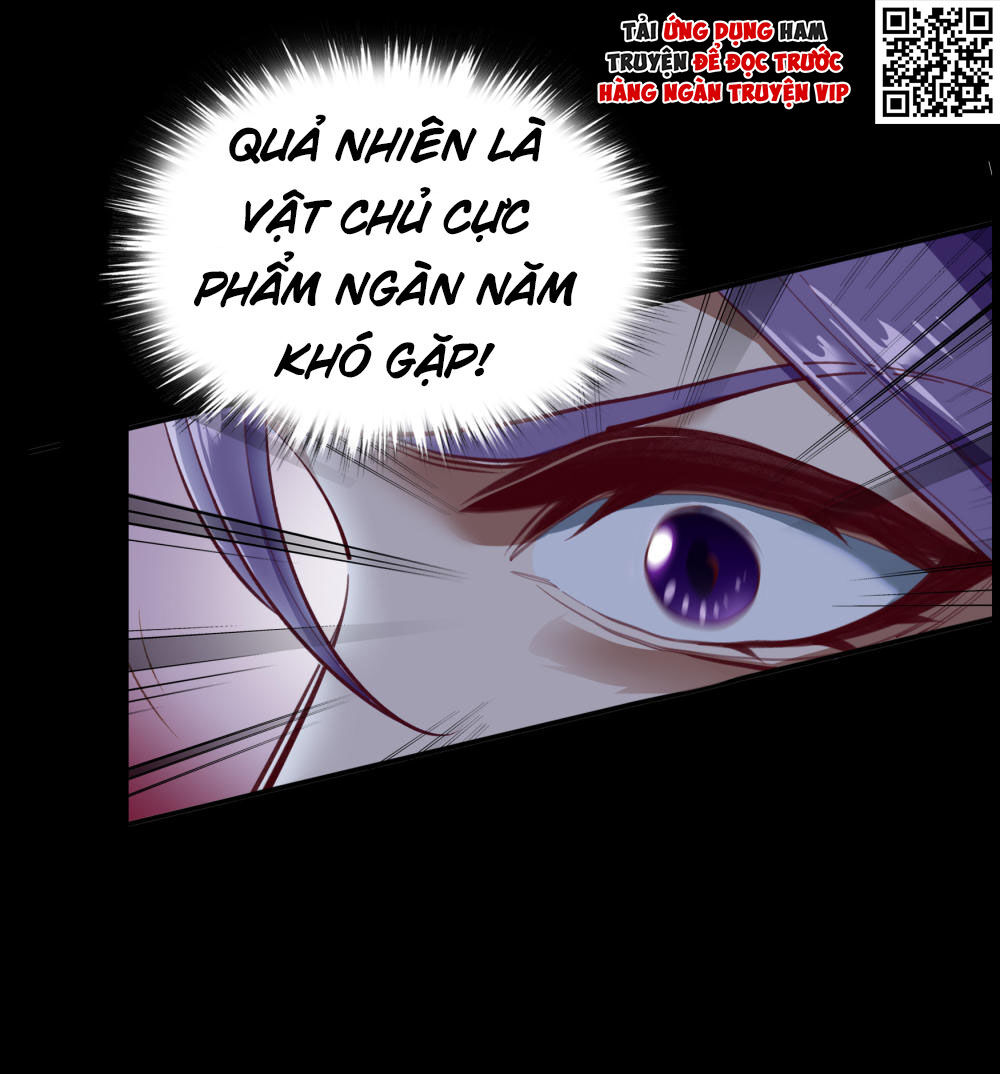 Thanh Đế Truyện Chapter 65 - Trang 1