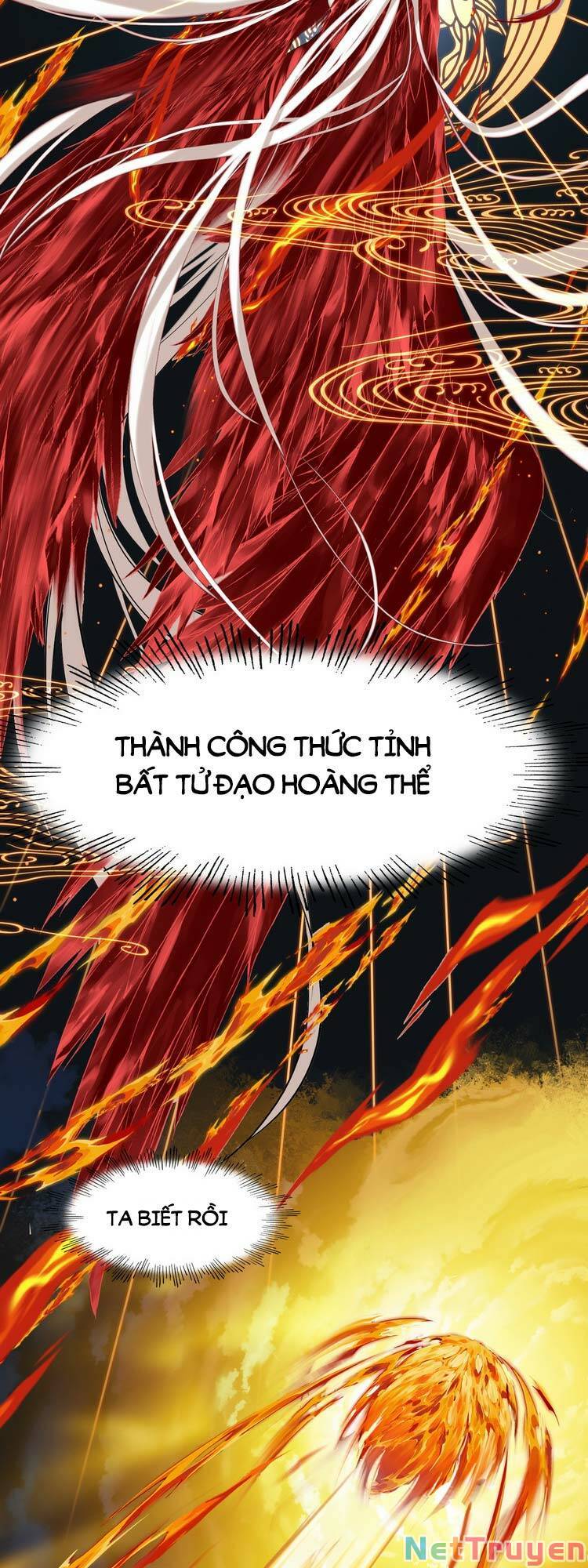 Ta Đúng Là Cao Thủ Tuyệt Thế Chapter 3 - Trang 4