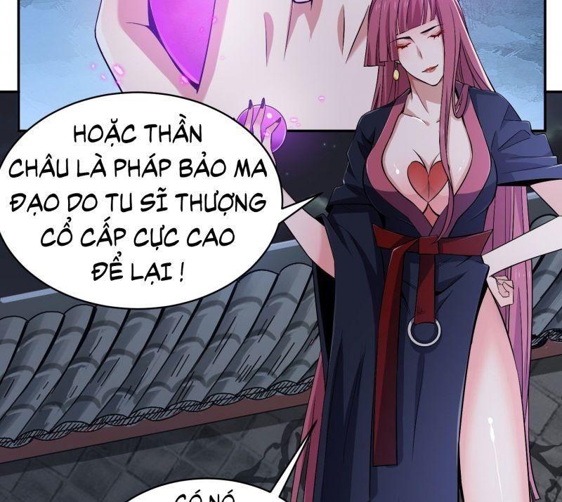 Ta Chỉ Muốn Bị Các Vị Đánh Chết Chapter 2 - Trang 5