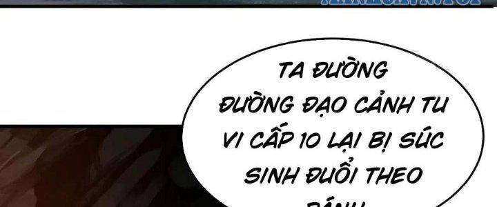 Ta Chỉ Muốn Bị Các Vị Đánh Chết Chapter 69 - Trang 2