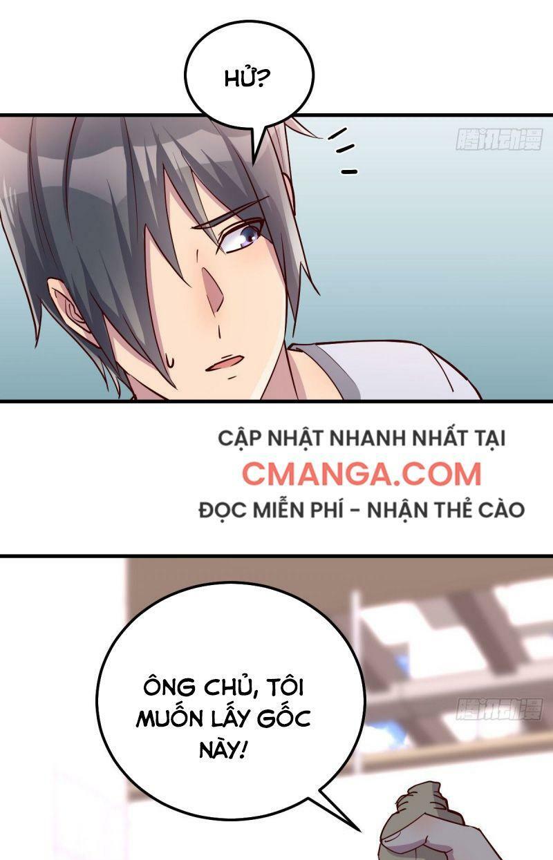 Y Thánh Thiên Tài Tại Hoa Đô Chapter 8 - Trang 10