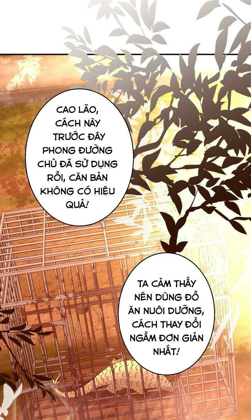 Cửu Dương Đế Tôn Chapter 154 - Trang 0