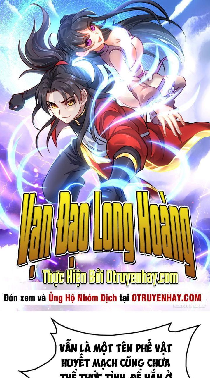 Vạn Đạo Long Hoàng Chapter 8 - Trang 2