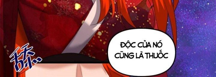 Ta Tu Có Lẽ Là Giả Tiên Chapter 308 - Trang 119