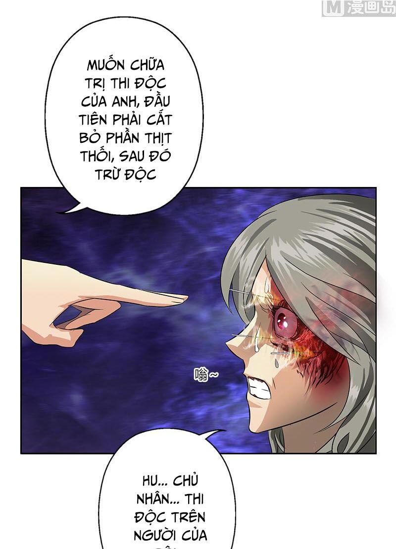 Đô Thị Cực Phẩm Y Tiên Chapter 357 - Trang 4