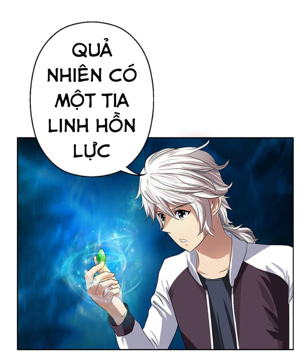 Đô Thị Cực Phẩm Y Tiên Chapter 343 - Trang 4