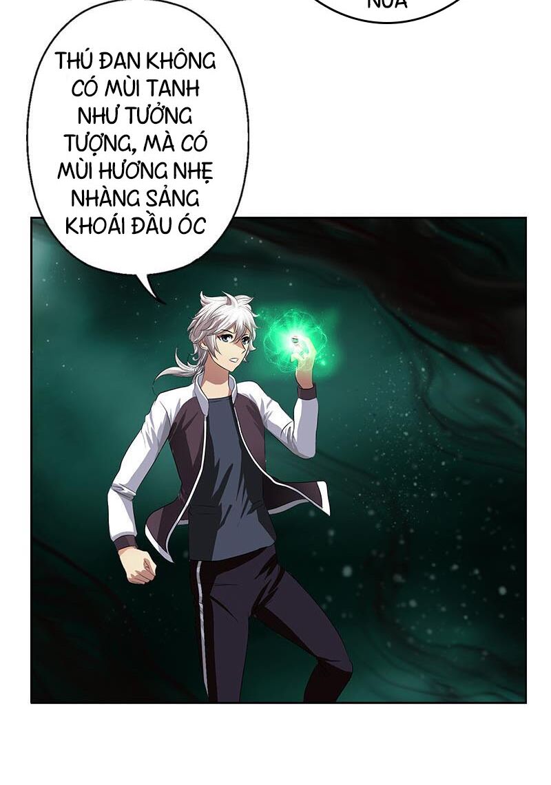 Đô Thị Cực Phẩm Y Tiên Chapter 347 - Trang 24