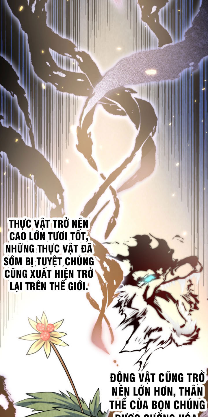 Toàn Thuộc Tính Võ Đạo Chapter 1 - Trang 38