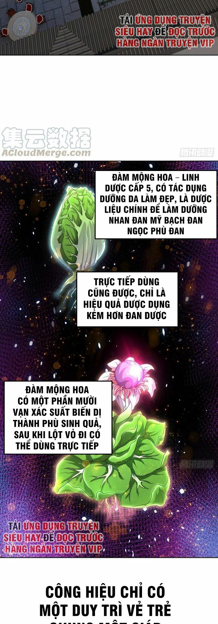 Chiếm Cái Đỉnh Núi Làm Đại Vương Chapter 93 - Trang 9