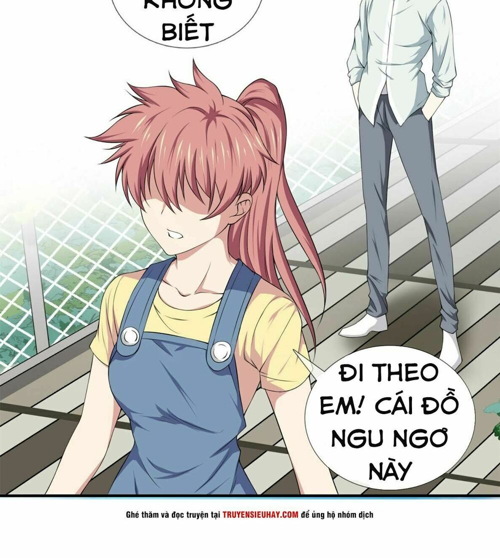 Đô Thị Chí Tôn Chapter 15 - Trang 25