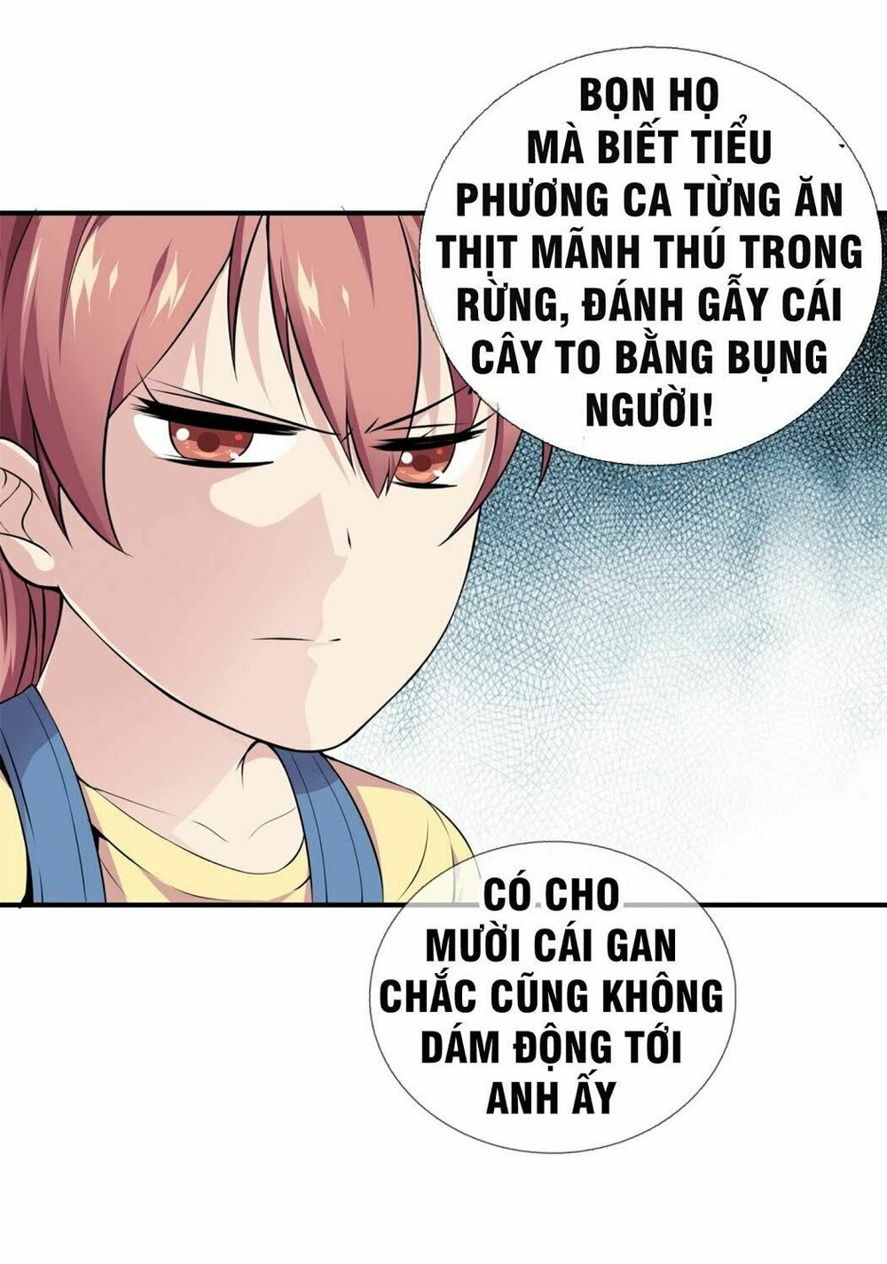 Đô Thị Chí Tôn Chapter 15 - Trang 13