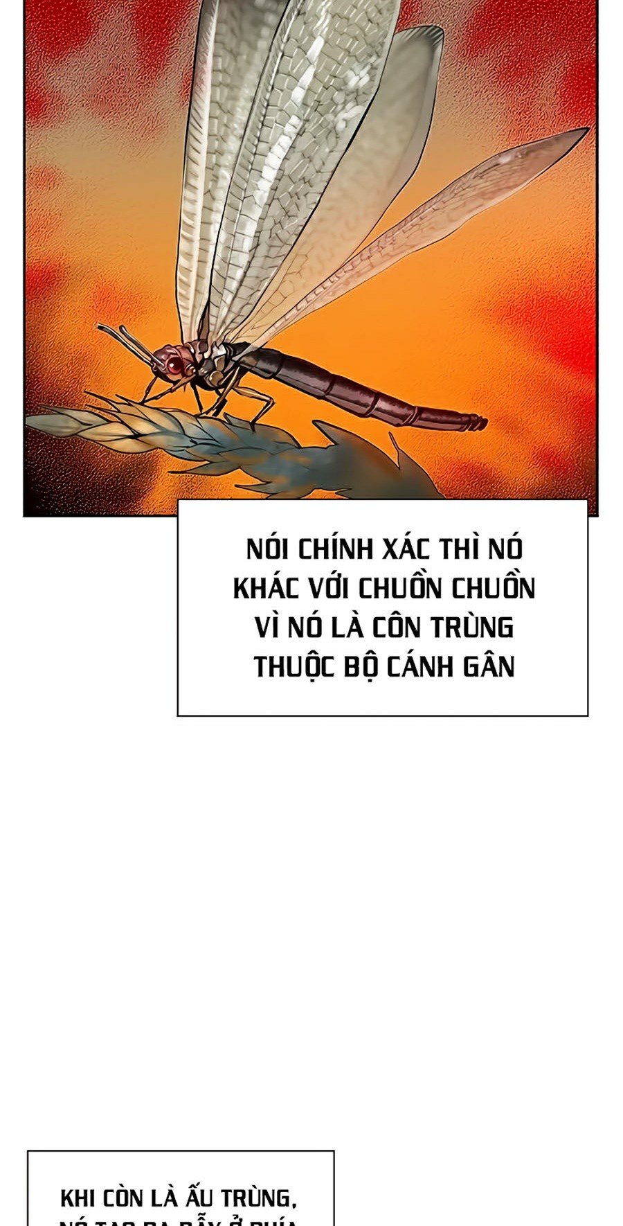 Nhân Trùng Đại Chiến Chapter 41 - Trang 69