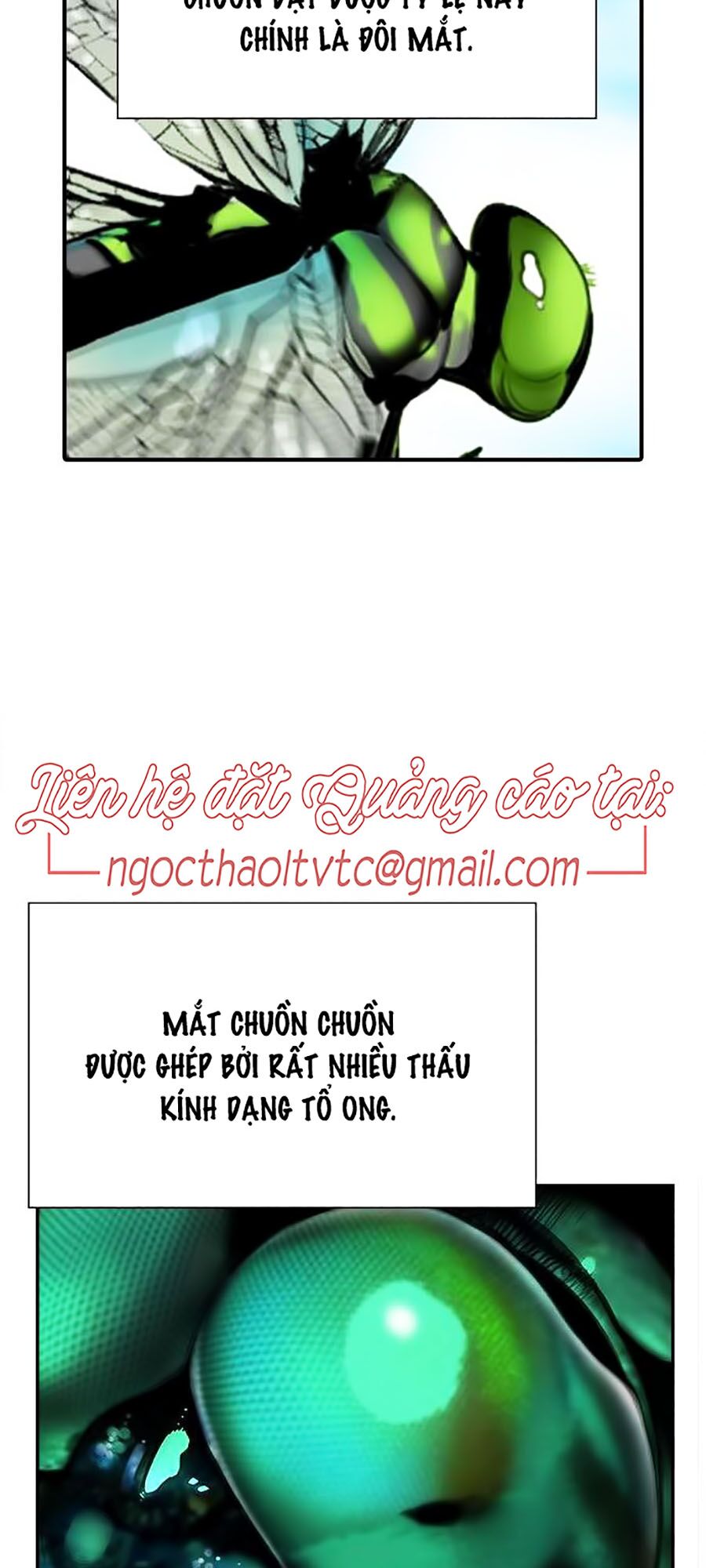 Nhân Trùng Đại Chiến Chapter 4 - Trang 98