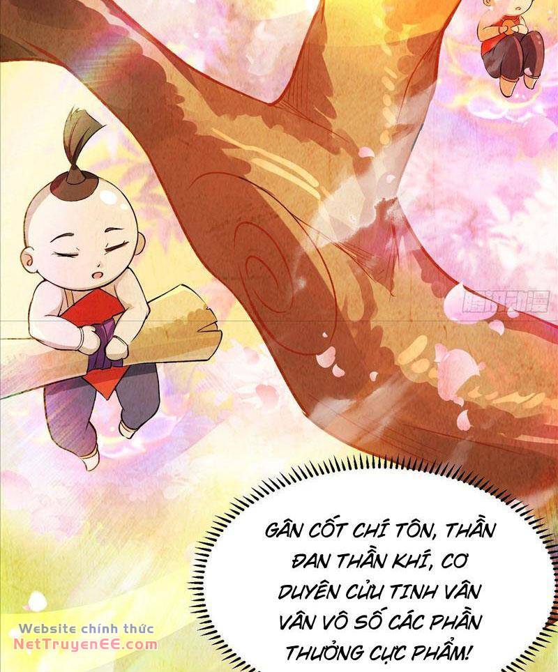 Trăm Tuổi Mở Hệ Thống, Hiếu Tử Hiền Tôn Quỳ Khắp Núi! Chapter 1 - Trang 29