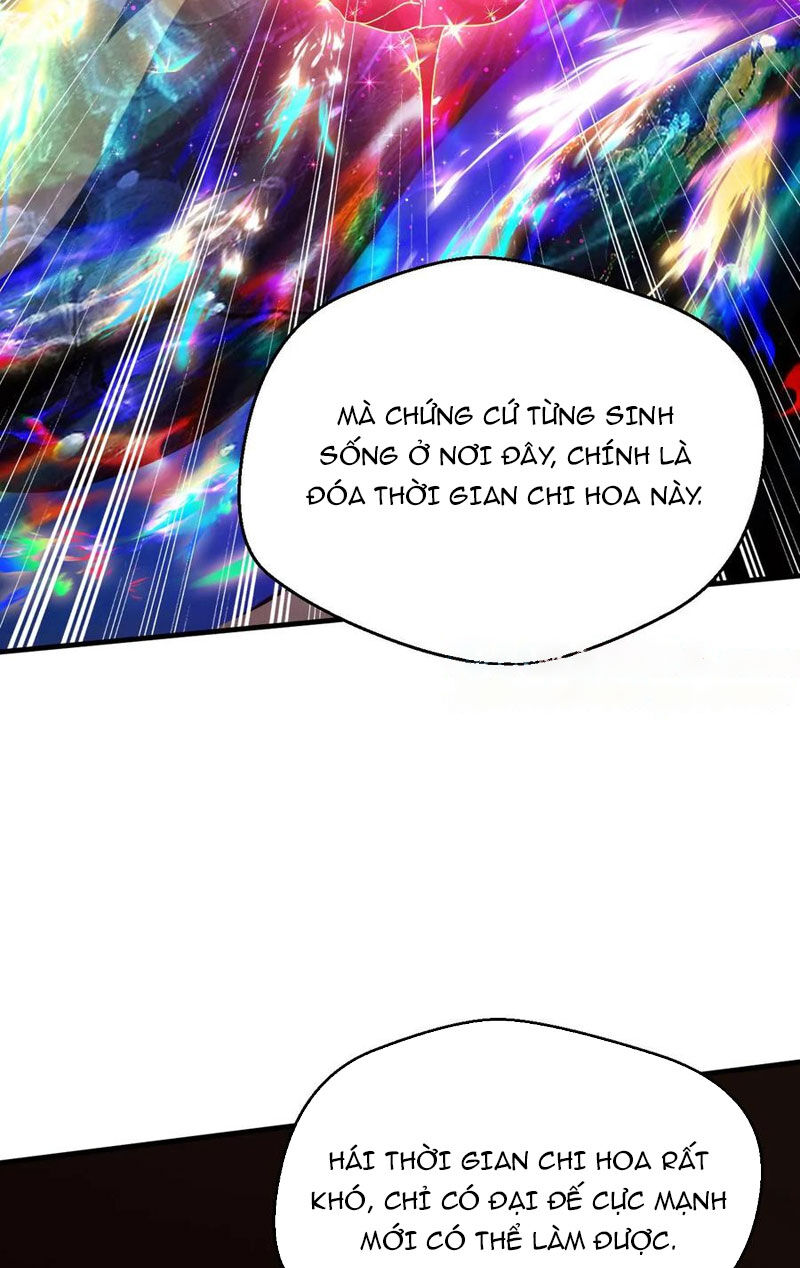 Vô Địch Đốn Ngộ Chapter 265 - Trang 12